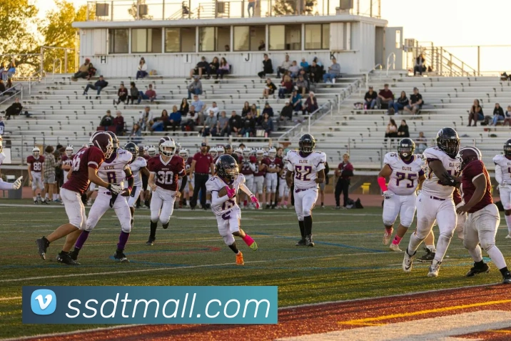 多媒体互动体验